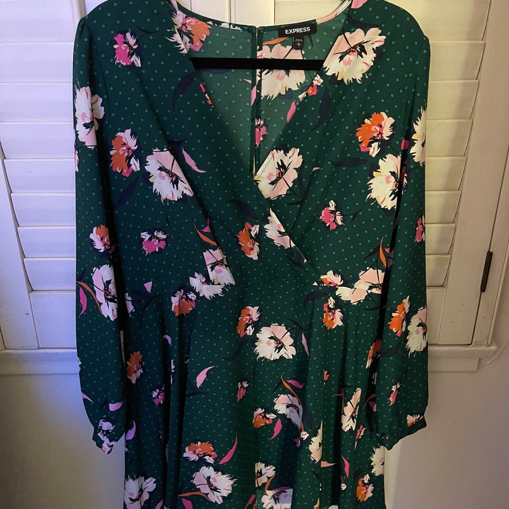 Express long sleeve dress